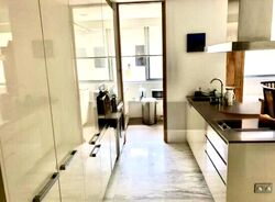 The Holland Collection (D10), Apartment #456585111